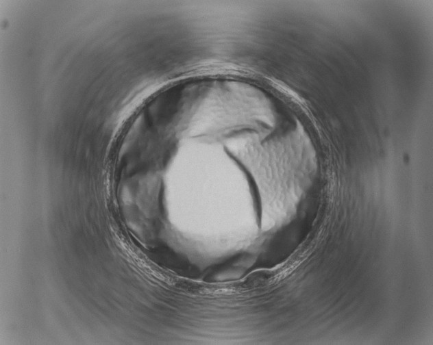 X0000052981415200507291540