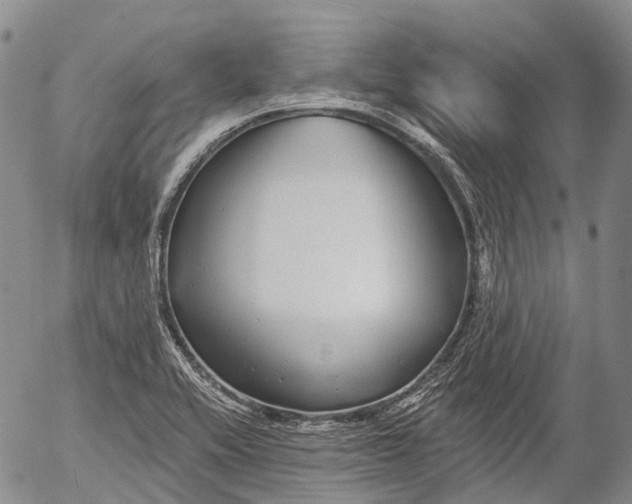 X0000052981416200507291540