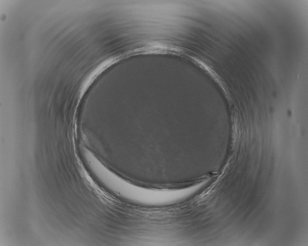 X0000052981418200507291540