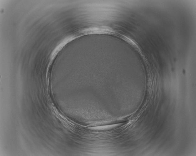 X0000052981419200507291540