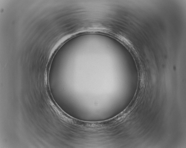 X0000052981420200507291540