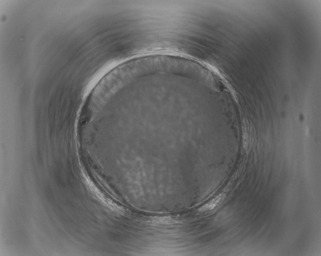 X0000052981422200507291540