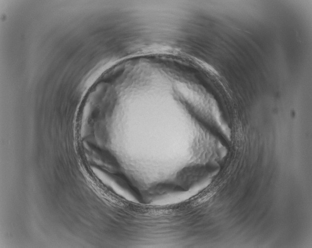 X0000052981423200507291540