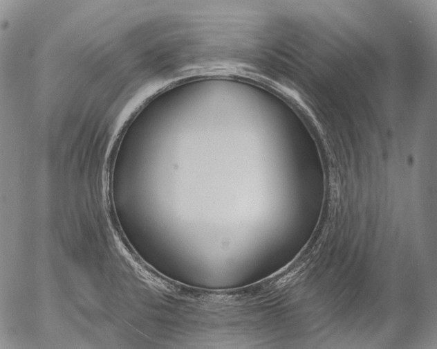 X0000052981424200507291540