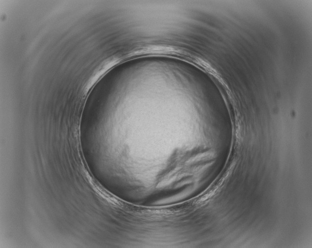 X0000052981425200507291540