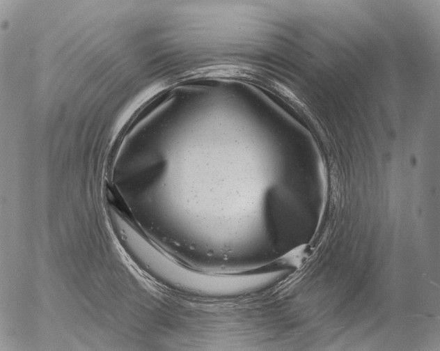 X0000052981426200507291540