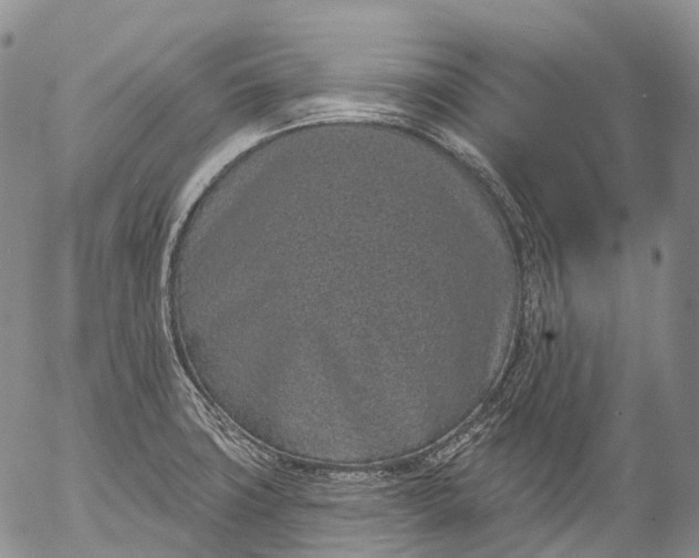 X0000052981427200507291540