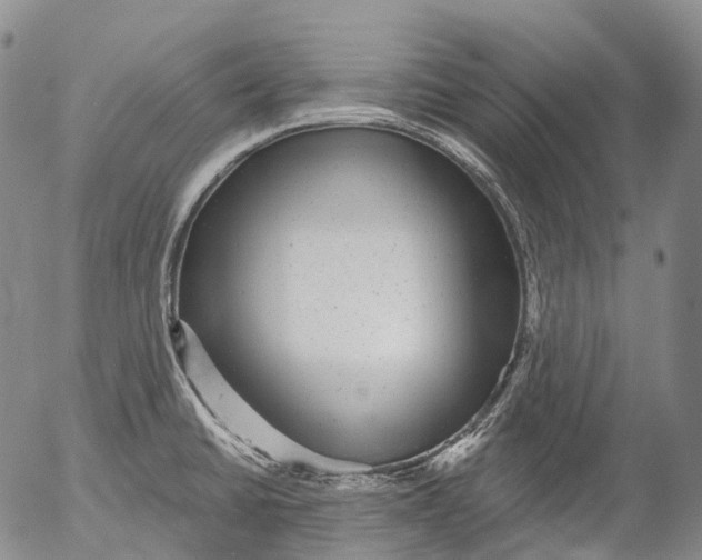 X0000052981430200507291540