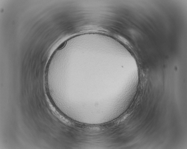 X0000052981431200507291540