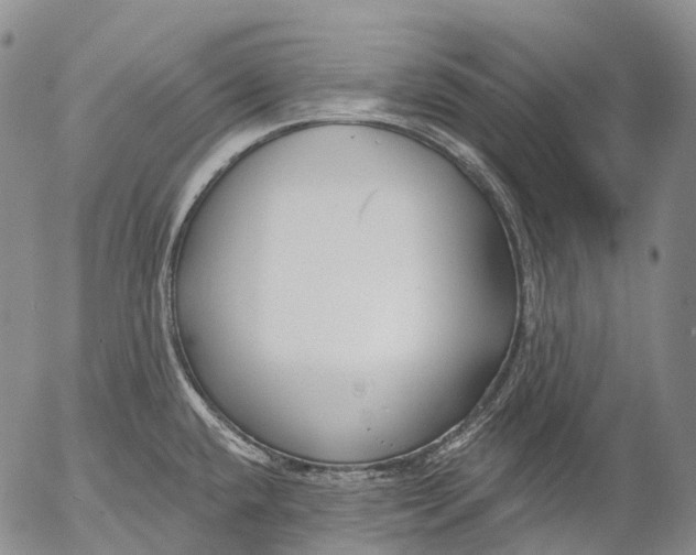 X0000052981432200507291540