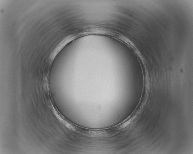 X0000052981433200507291540