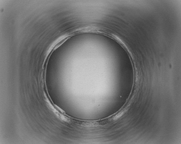 X0000052981434200507291540