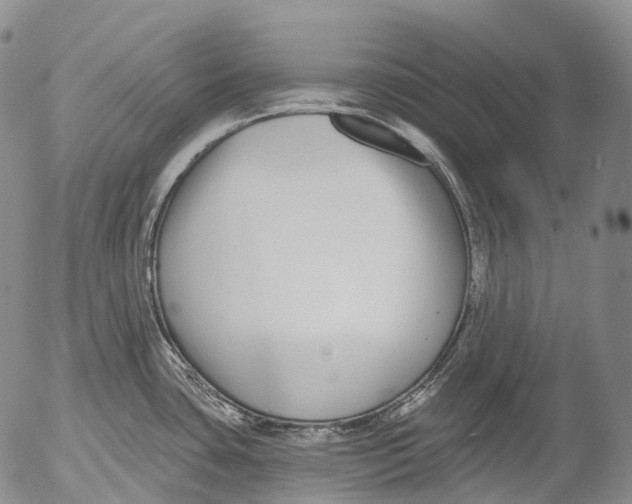 X0000052981435200507291540