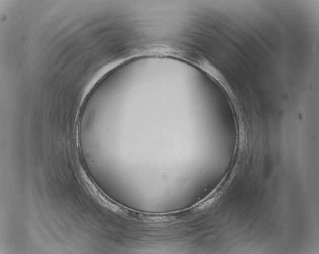 X0000052981436200507291540