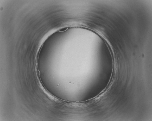 X0000052981437200507291540