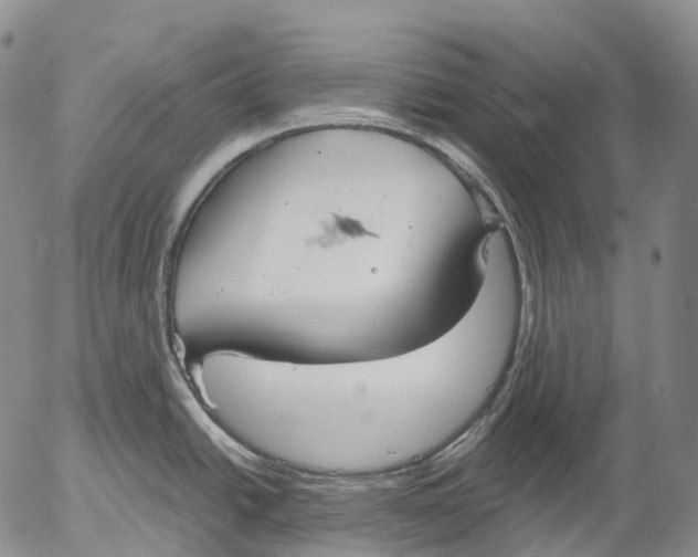 X0000052981438200507291540