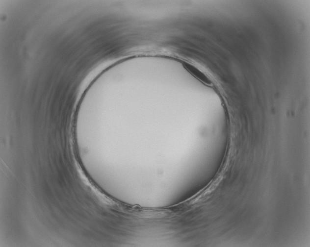 X0000052981440200507291540