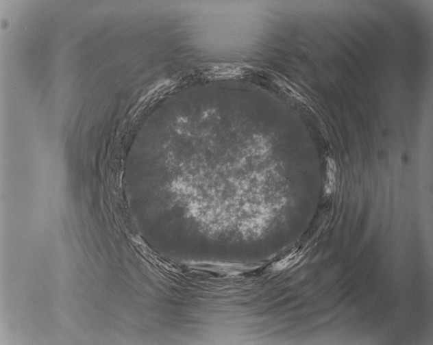 X0000052981441200507291540