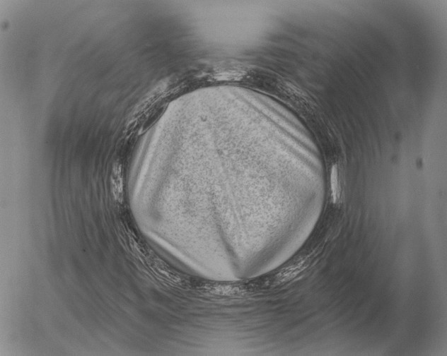 X0000052981443200507291540