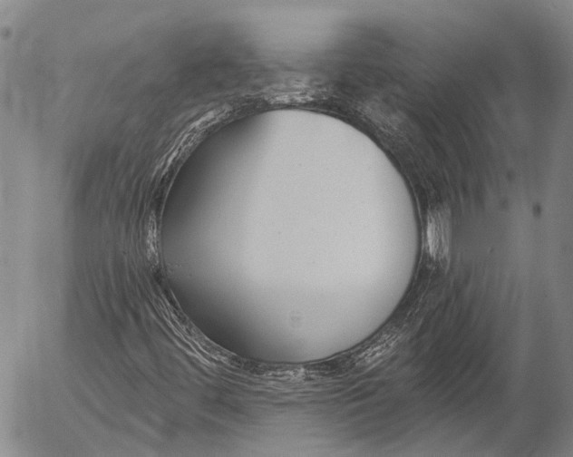 X0000052981444200507291540