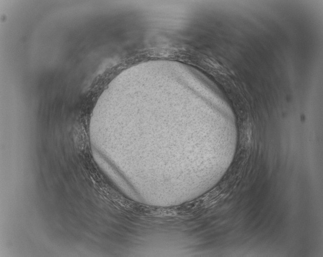 X0000052981446200507291539