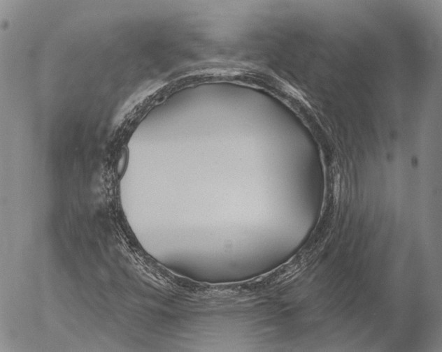 X0000052981448200507291539