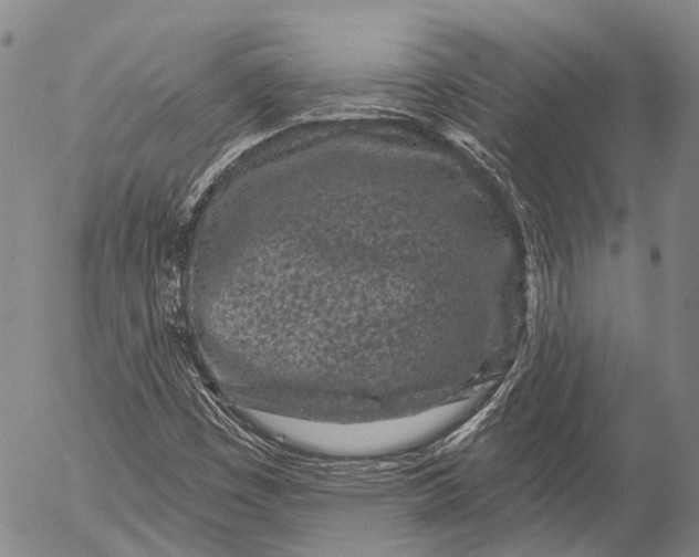 X0000052981449200507291539