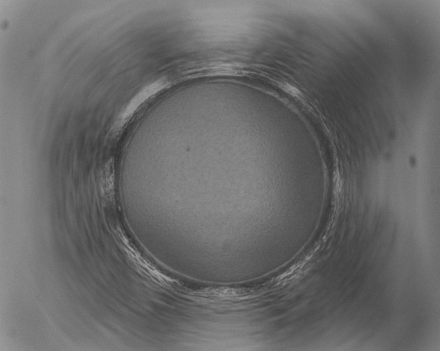 X0000052981450200507291539