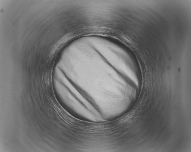 X0000052981451200507291539