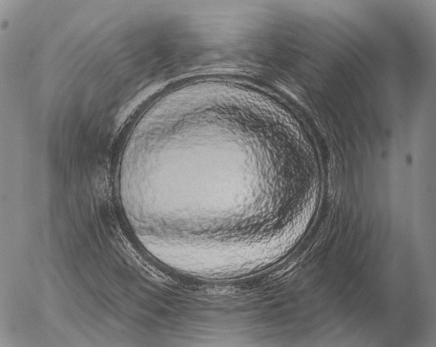 X0000052981452200507291539