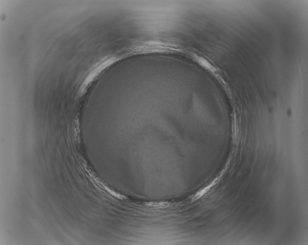 X0000052981453200507291539