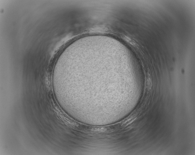 X0000052981454200507291539