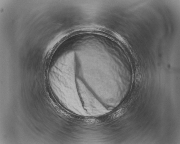 X0000052981456200507291539