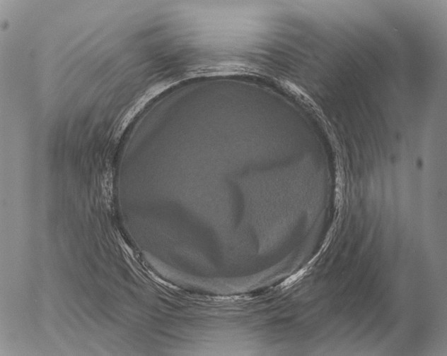 X0000052981457200507291539