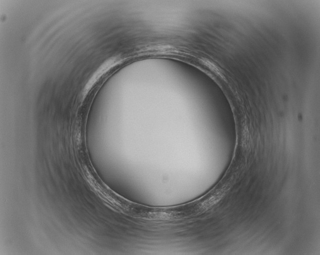 X0000052981458200507291539