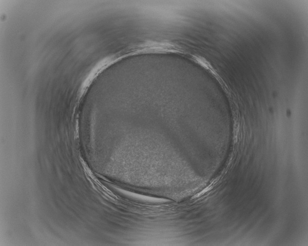 X0000052981459200507291539