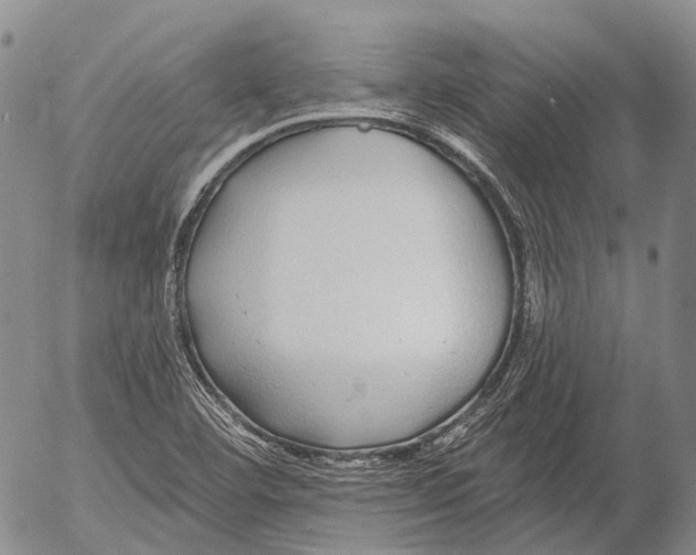 X0000052981460200507291539