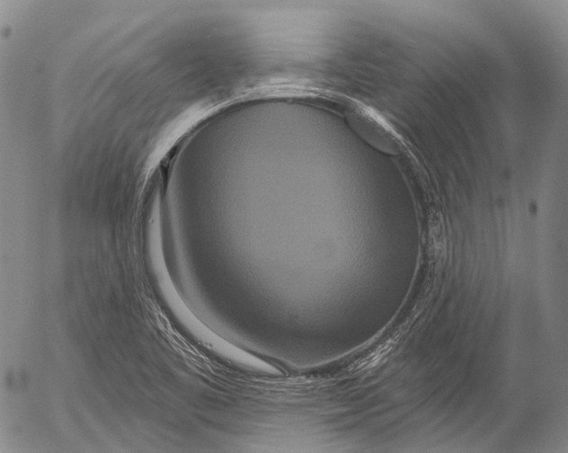 X0000052981461200507291539