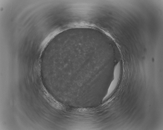 X0000052981463200507291539