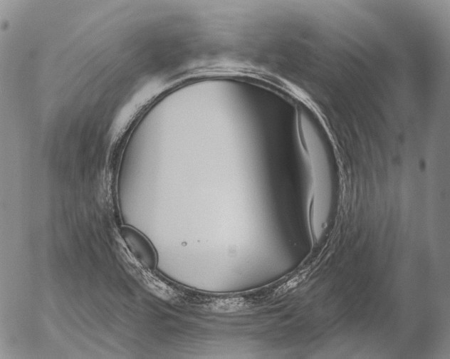 X0000052981464200507291539