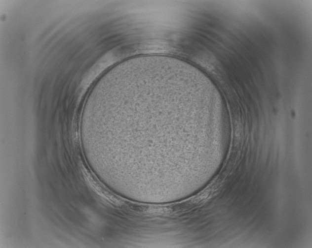 X0000052981466200507291539