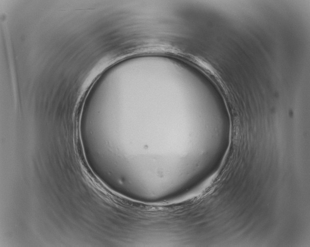 X0000052981467200507291539