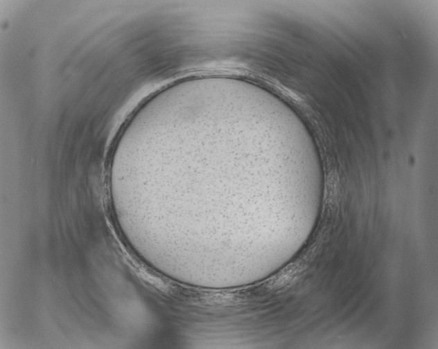 X0000052981470200507291539