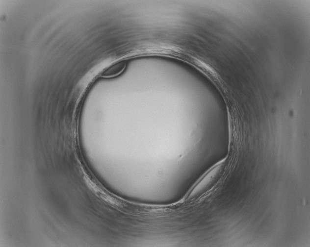 X0000052981471200507291539