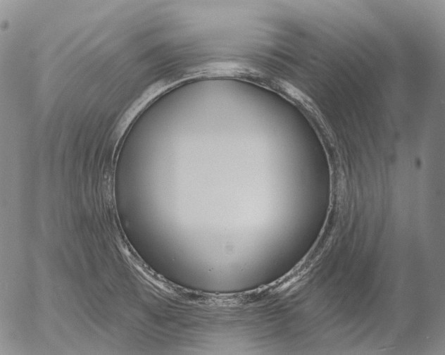 X0000052981473200507291539