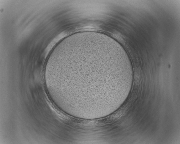 X0000052981474200507291539