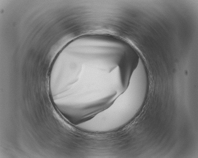 X0000052981476200507291539