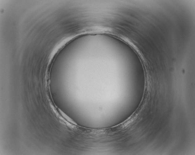 X0000052981477200507291539