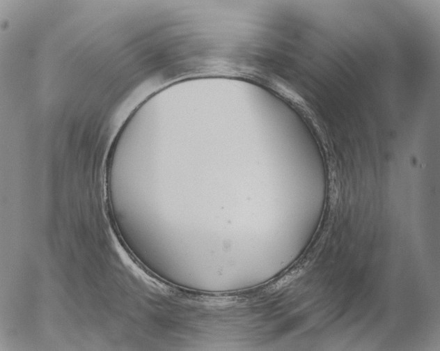 X0000052981479200507291539