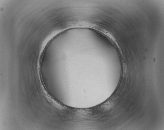 X0000052981480200507291539